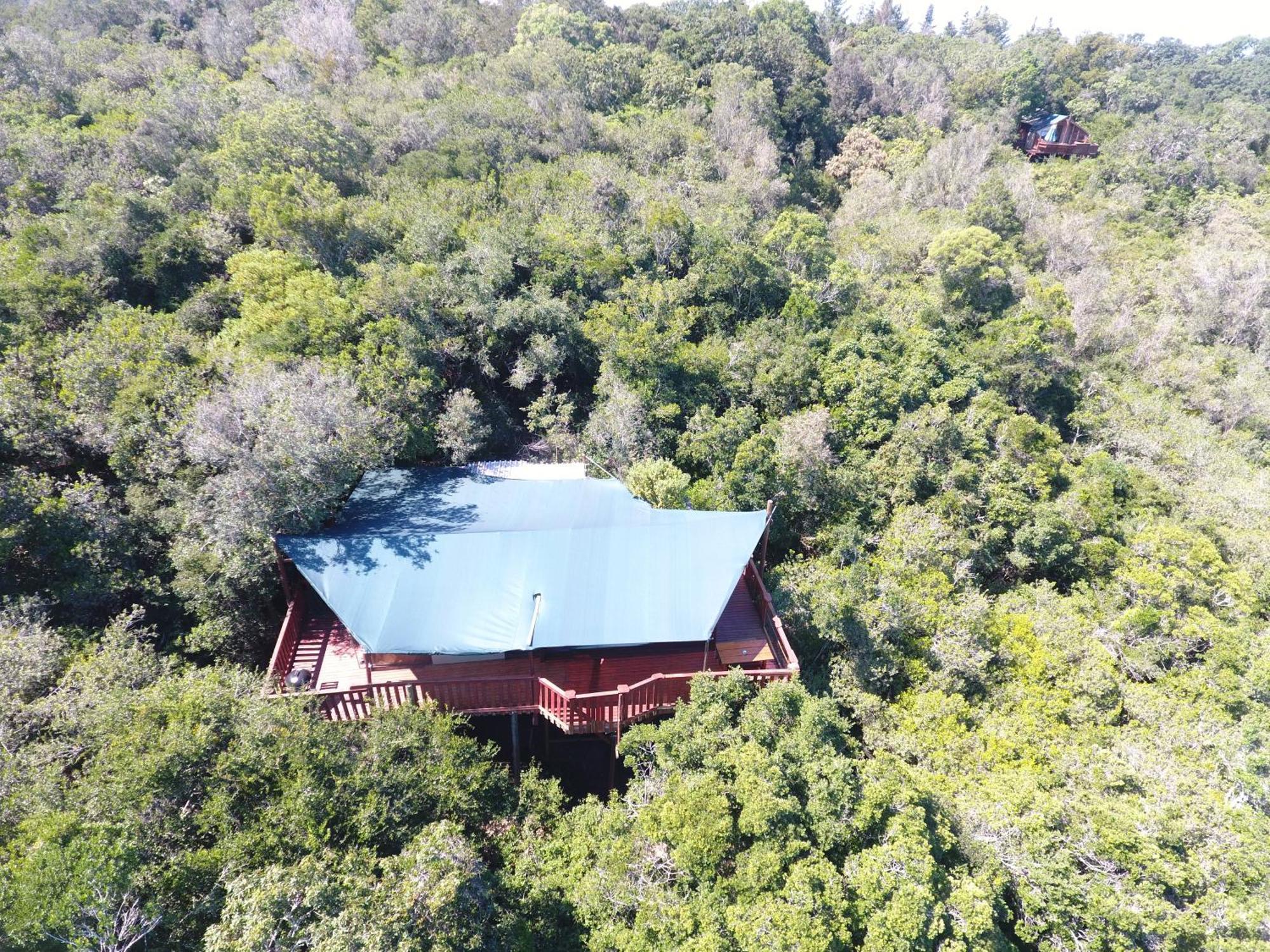 Teniqua Treetops Karatara Settlement Экстерьер фото